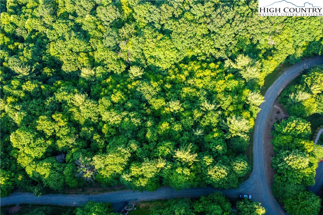 Lot 50 Deer Spring Ln/White Tail Trail