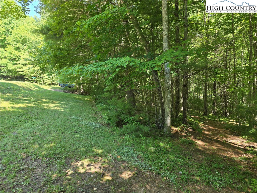 Lot 50 Deer Spring Ln/White Tail Trail