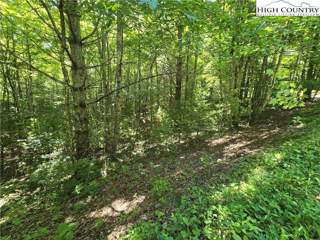 Lot 50 Deer Spring Ln/White Tail Trail