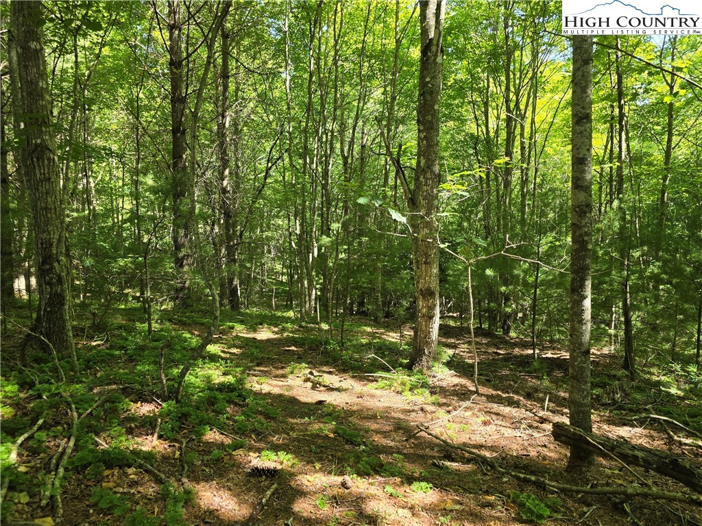 Lot 50 Deer Spring Ln/White Tail Trail