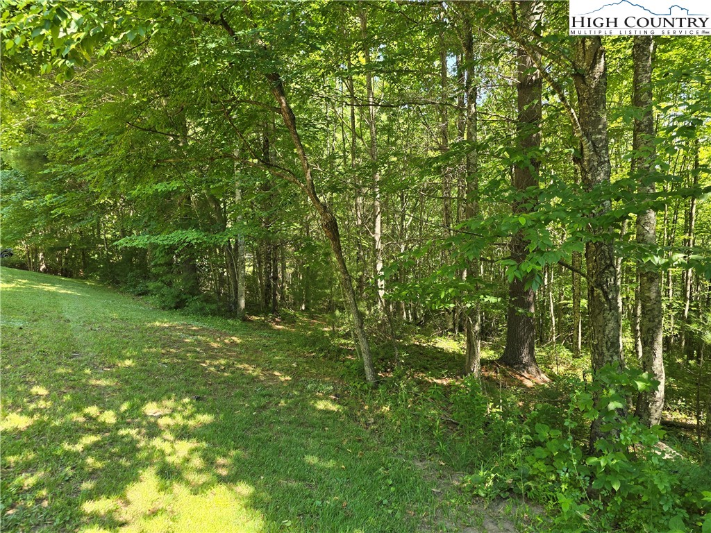 Lot 50 Deer Spring Ln/White Tail Trail