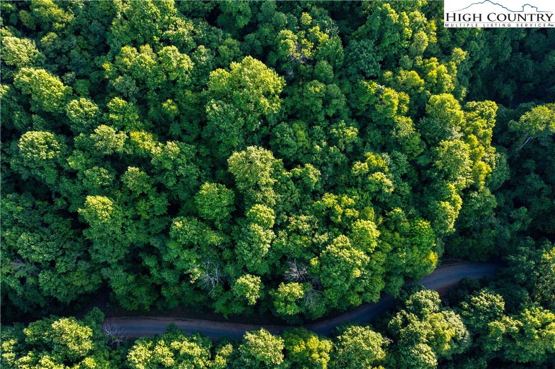 Lot 66 White Tail Trail