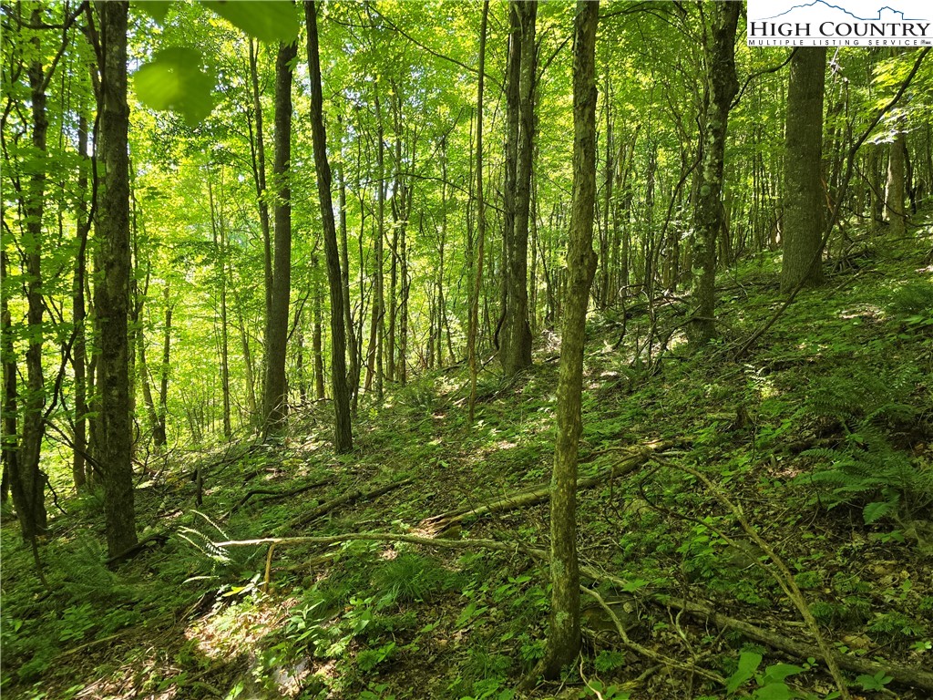 Lot 66 White Tail Trail