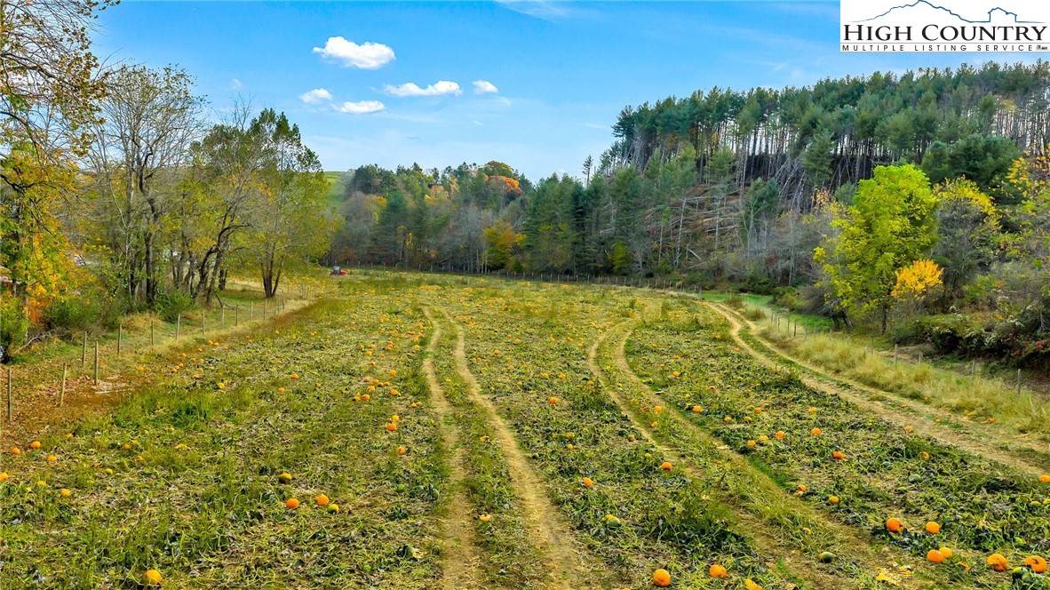 886 Jefferson Highway