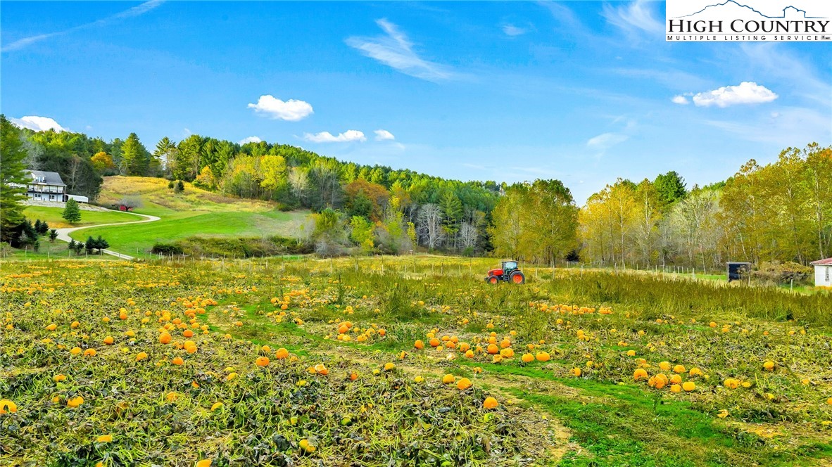 886 Jefferson Highway