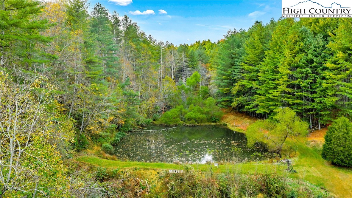 886 Jefferson Highway