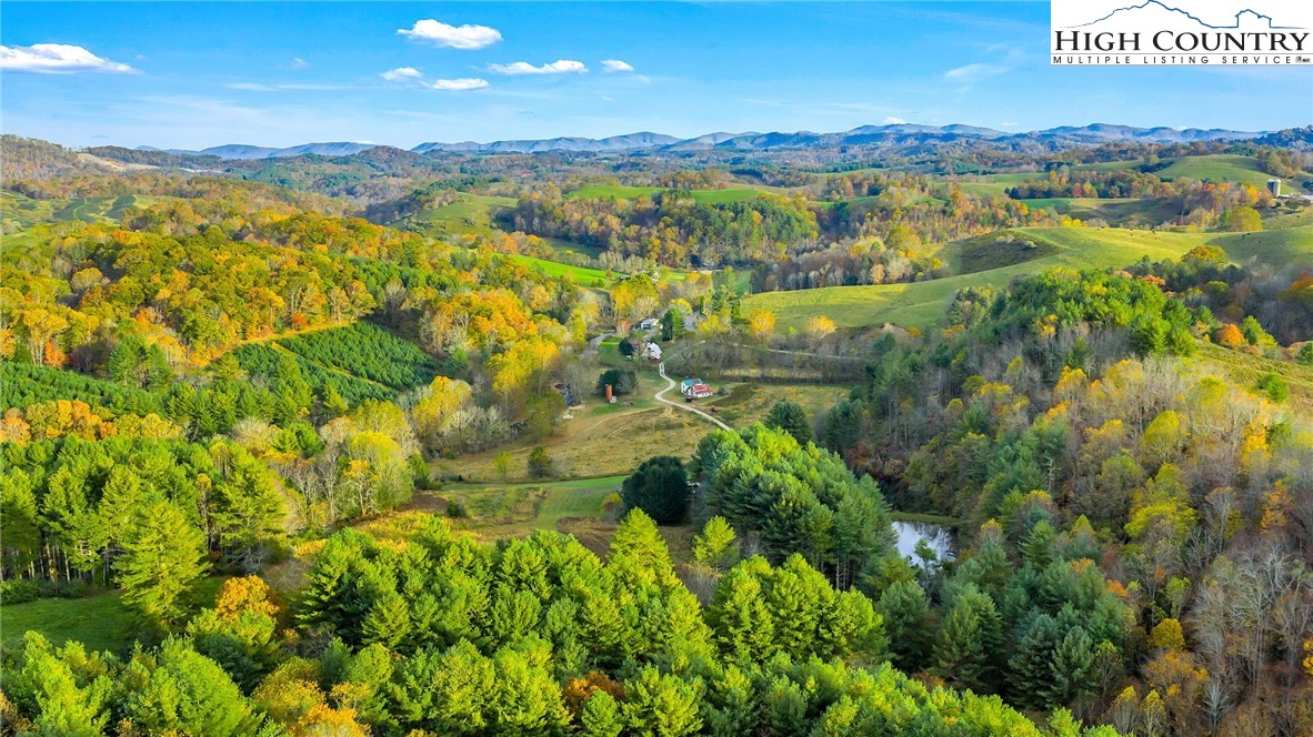 886 Jefferson Highway