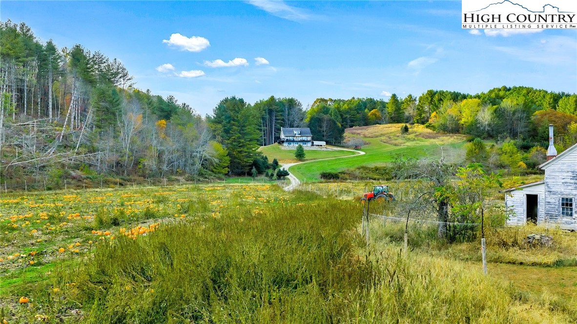 886 Jefferson Highway