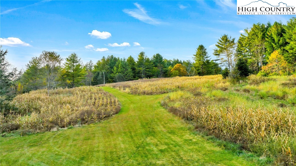 886 Jefferson Highway