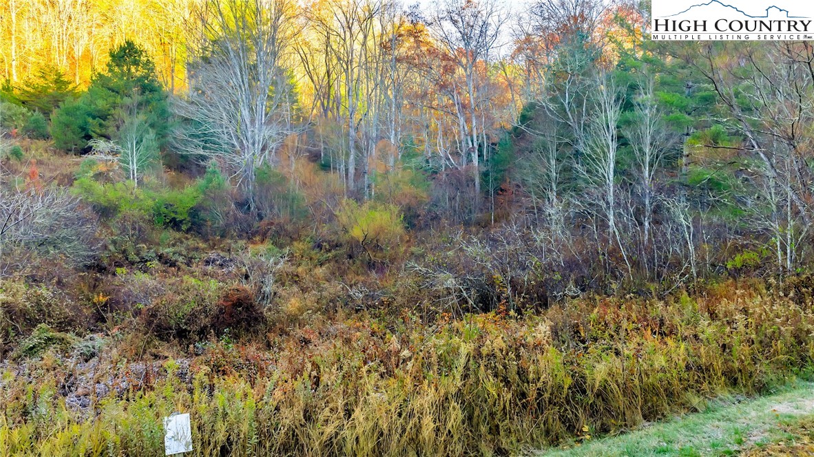 TBD - lot 23 Riverstone Drive