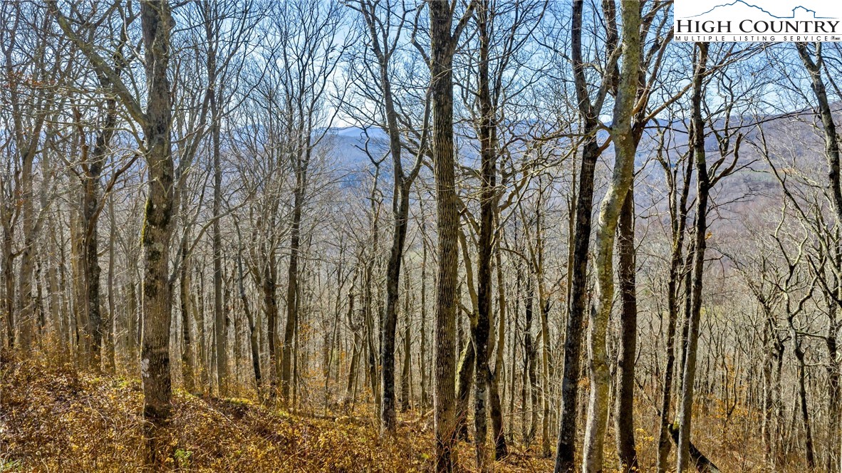 TBD ( lot 79) Elk Creek Mountain Parkway