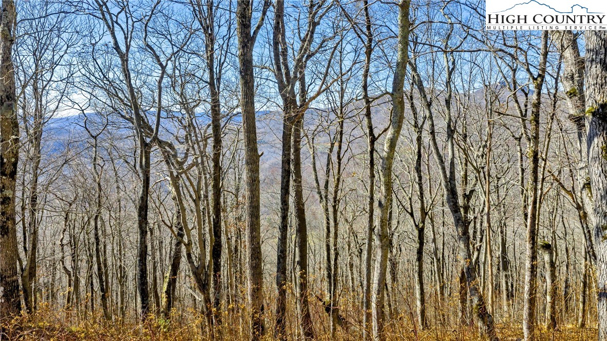 TBD ( lot 79) Elk Creek Mountain Parkway