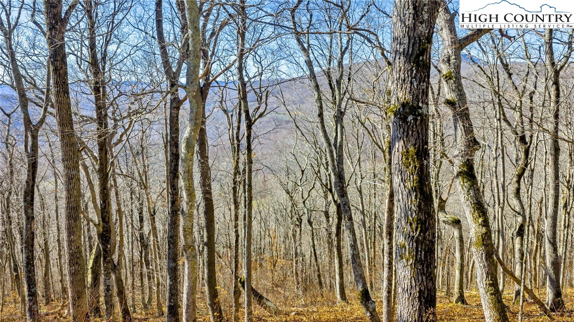 TBD ( lot 79) Elk Creek Mountain Parkway