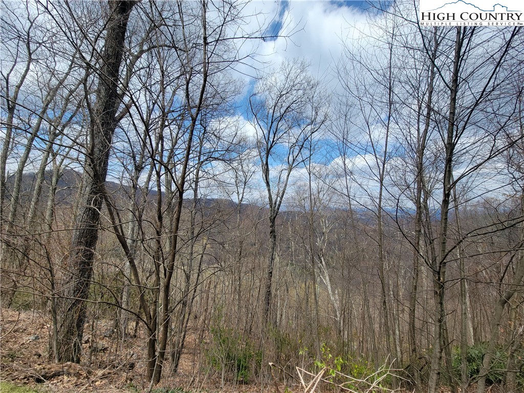 TBD (Lots 37&38) Granite Springs Trail