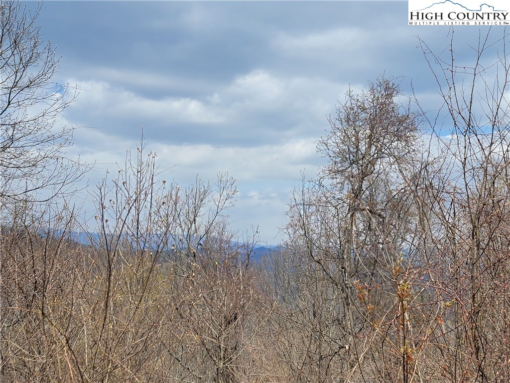 TBD (Lots 37&38) Granite Springs Trail