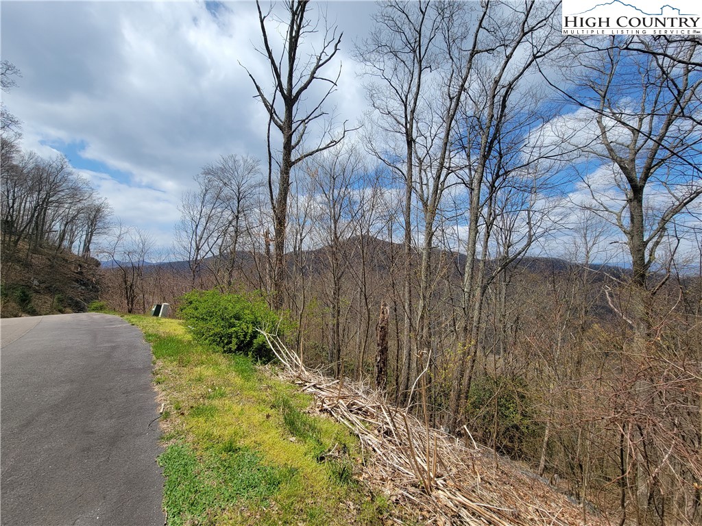 TBD (Lots 37&38) Granite Springs Trail