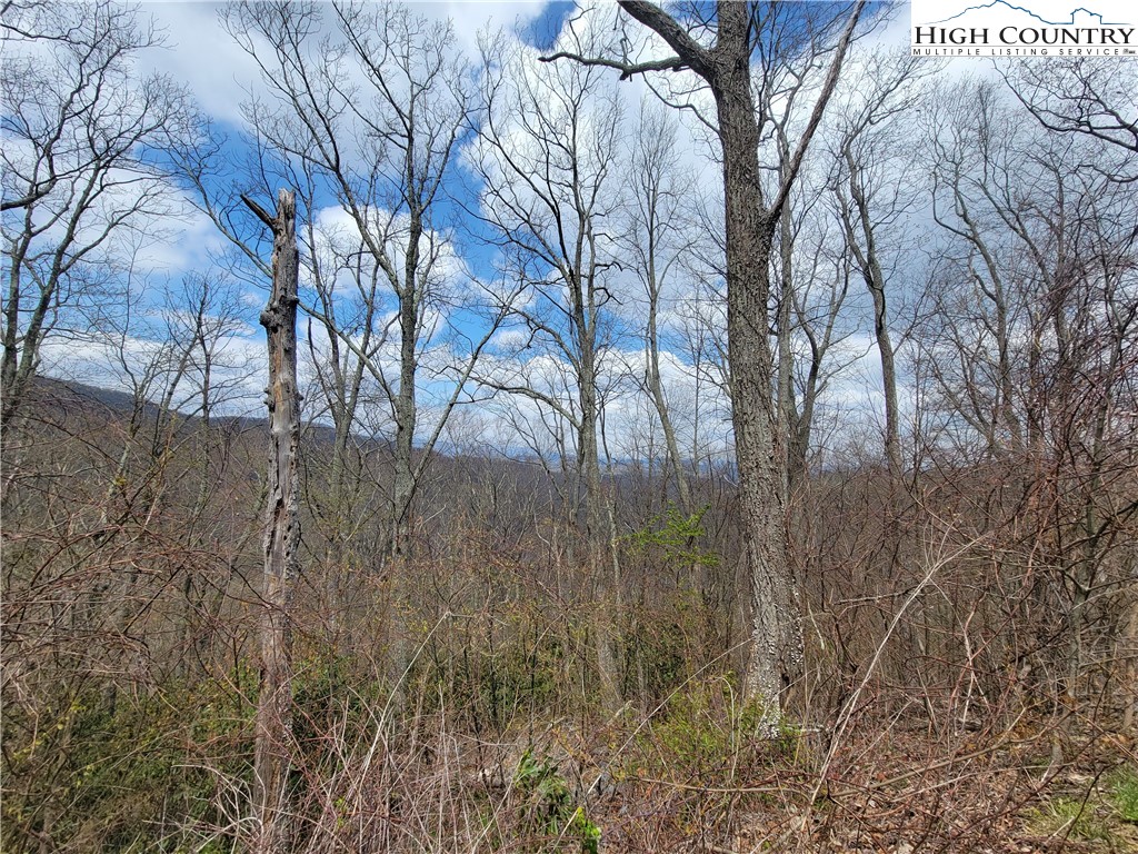 TBD (Lots 37&38) Granite Springs Trail