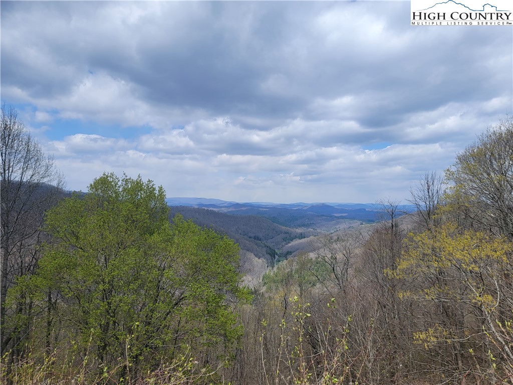 TBD (Lots 37&38) Granite Springs Trail