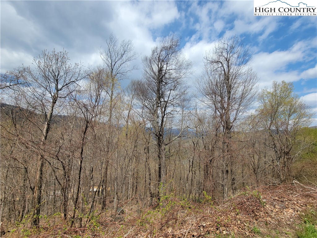 TBD (Lots 37&38) Granite Springs Trail