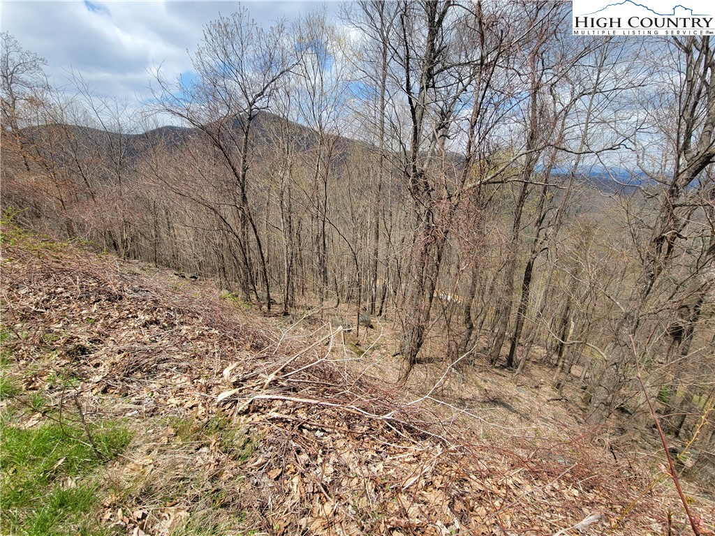 TBD (Lots 37&38) Granite Springs Trail