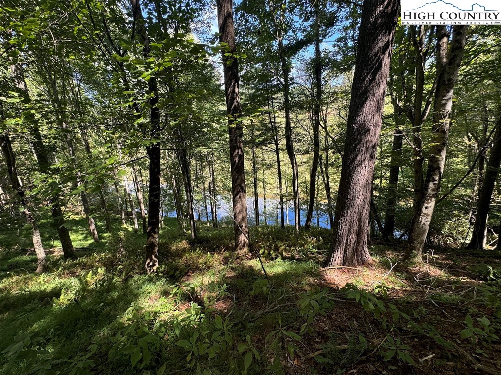 63 Village Pine Drive