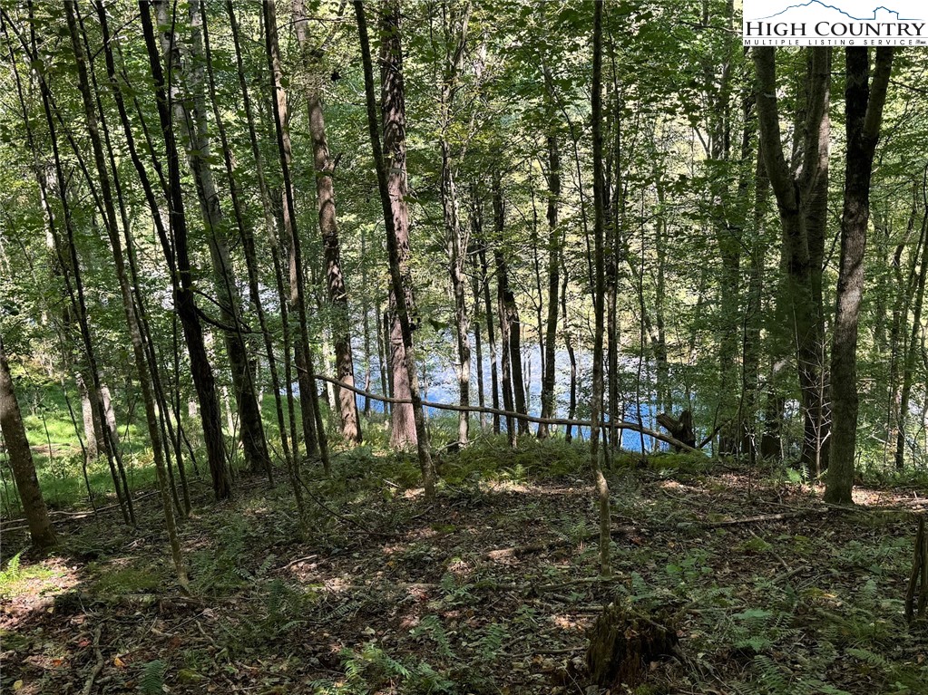 63 Village Pine Drive