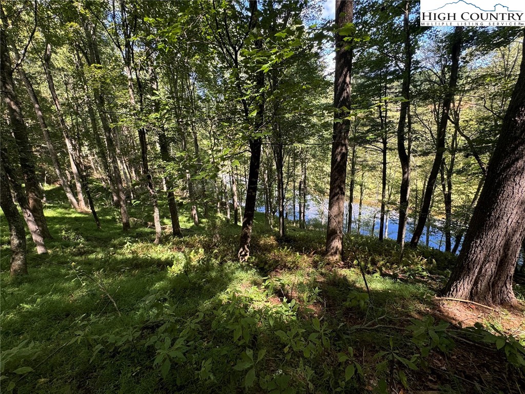 63 Village Pine Drive