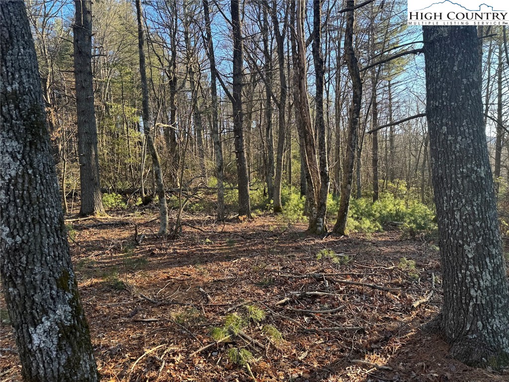 TBD Gentry Hill Lane