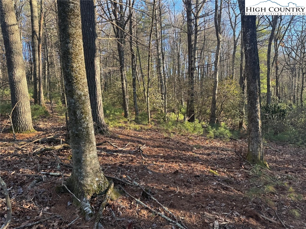 TBD Gentry Hill Lane