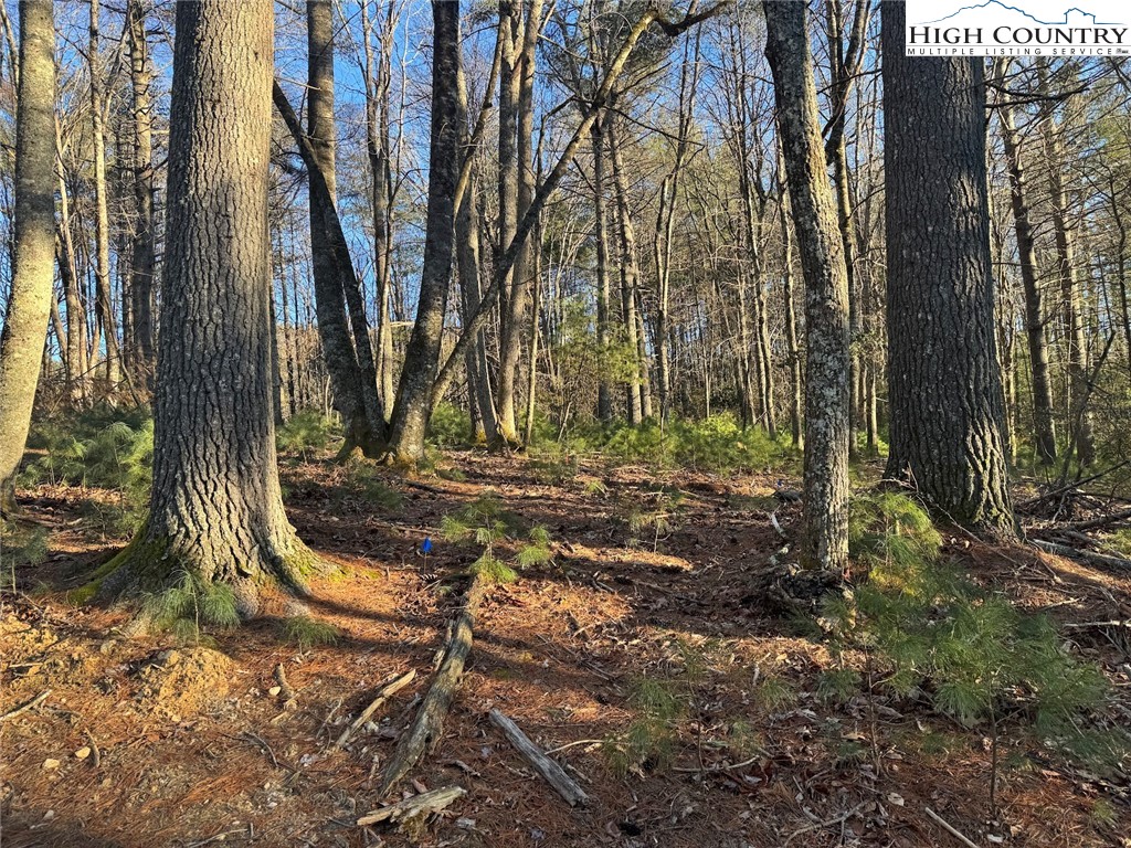 TBD Gentry Hill Lane