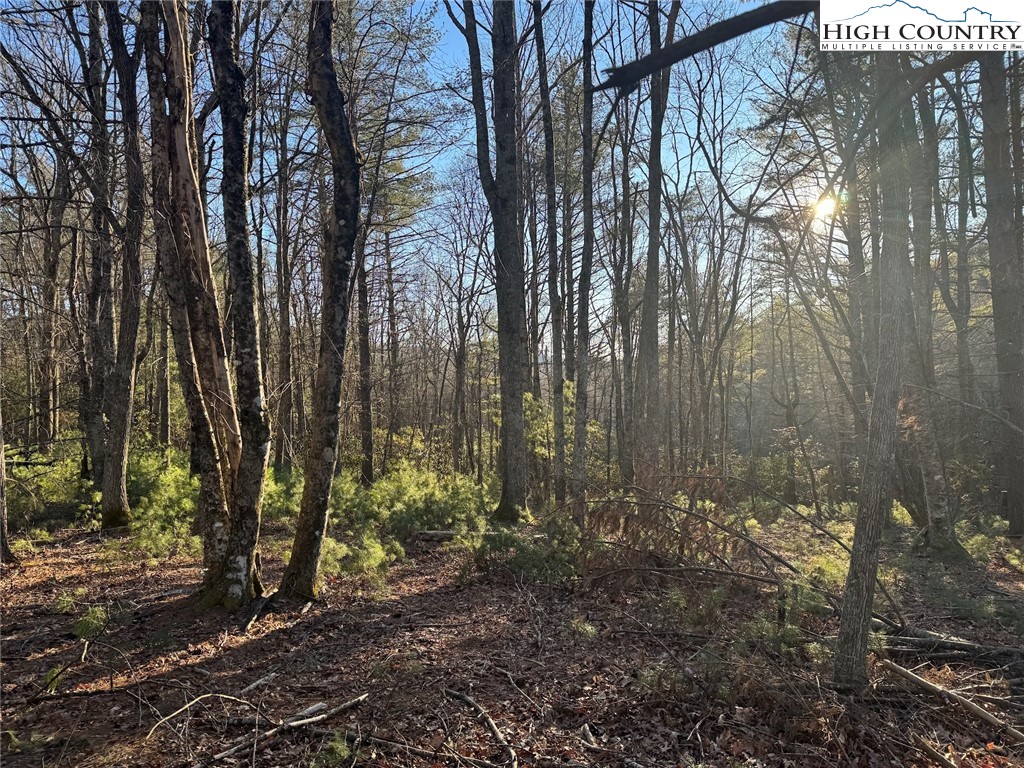 TBD Gentry Hill Lane