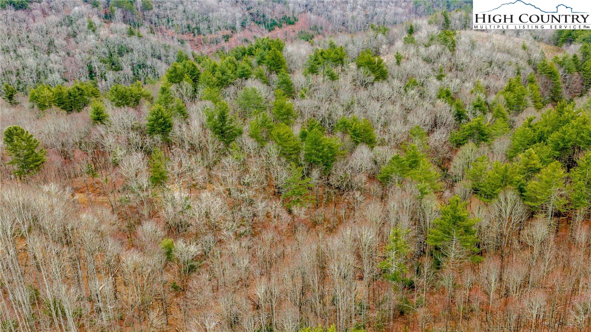 TBD Gentry Hill Lane