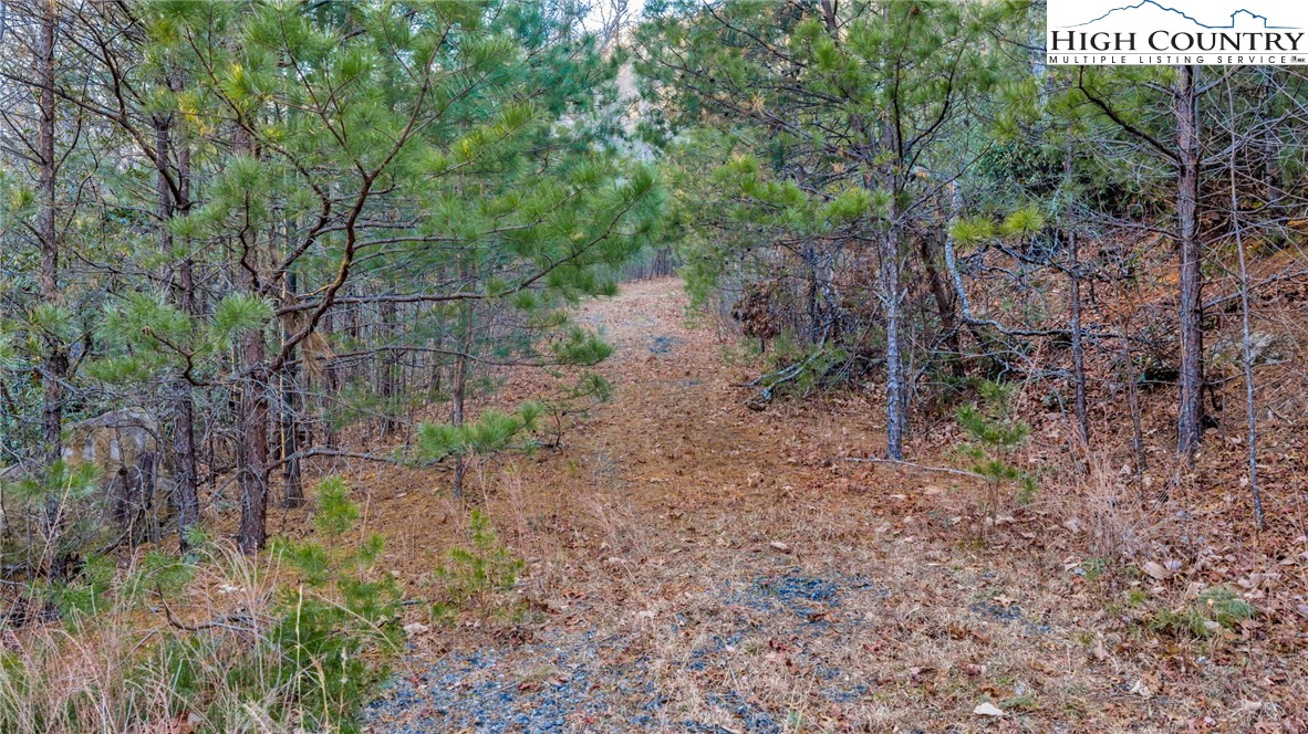 TBD Lump Road