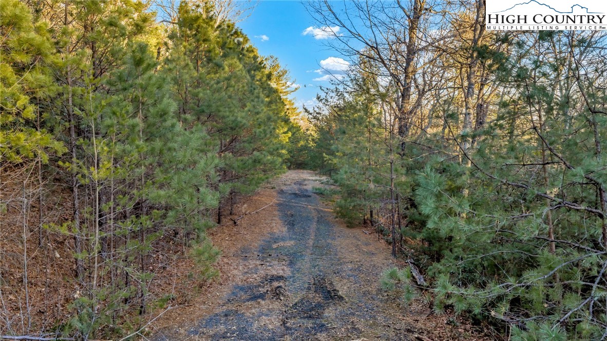 TBD Lump Road