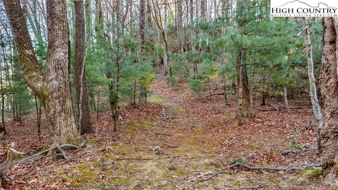 TBD Lump Road