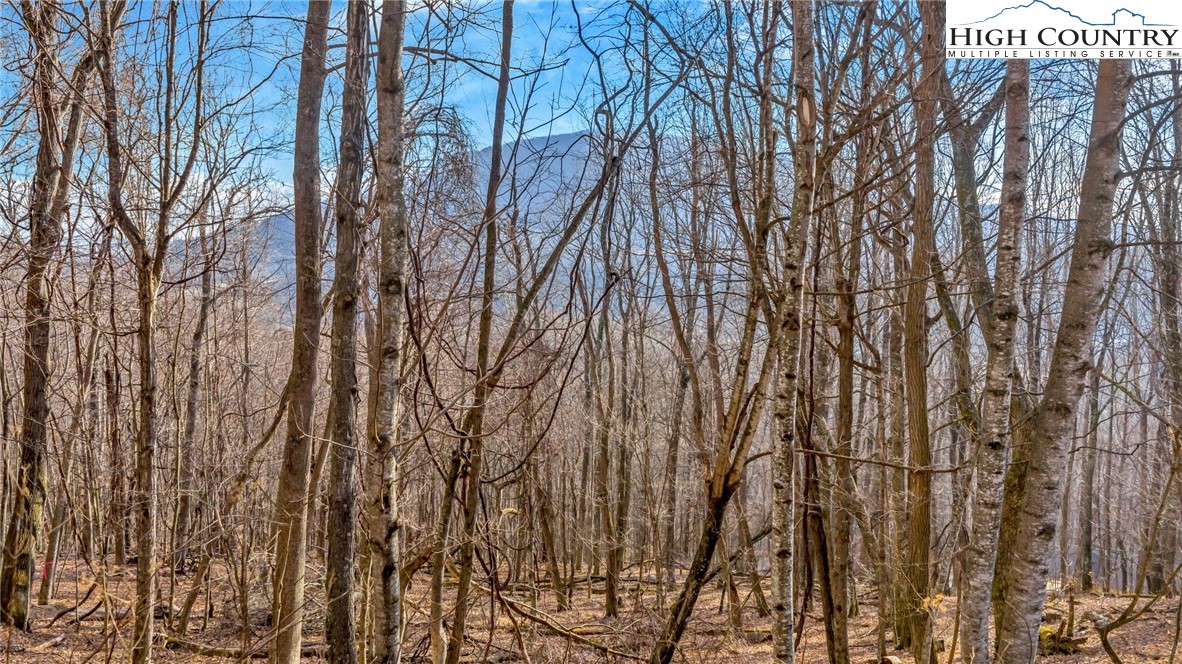 TBD-20 Townview Street