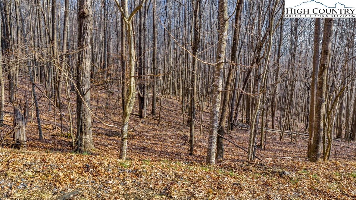 TBD-20 Townview Street