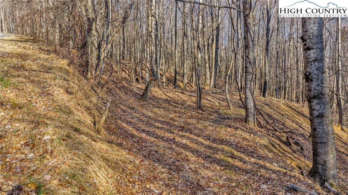 TBD-20 Townview Street