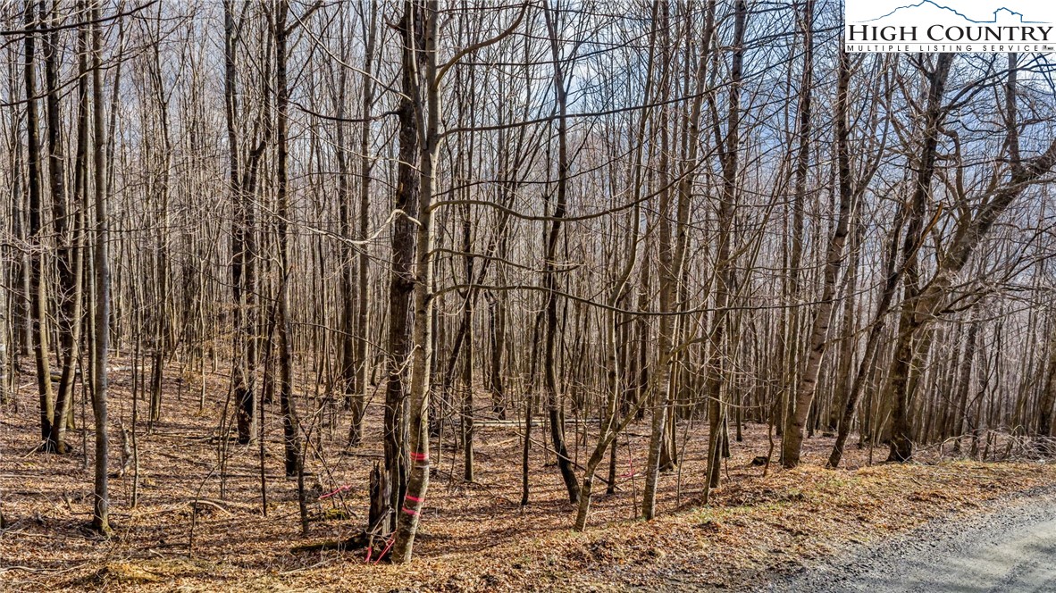 TBD-20 Townview Street