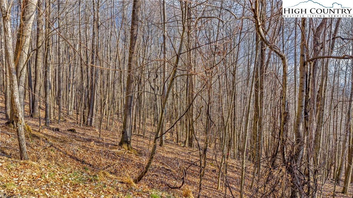 TBD-20 Townview Street