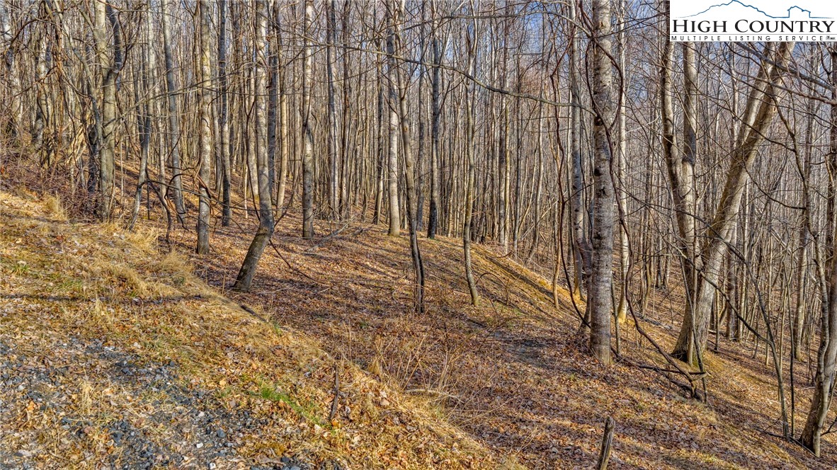 TBD-20 Townview Street