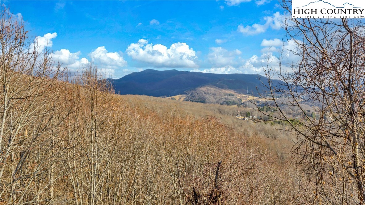 TBD -22 Locust Circle