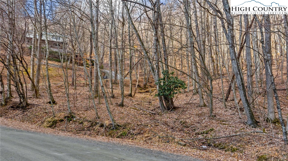 TBD- 23 Locust Circle