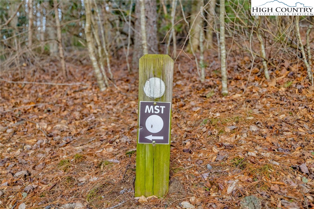 TBD Buckwheat Branch Road