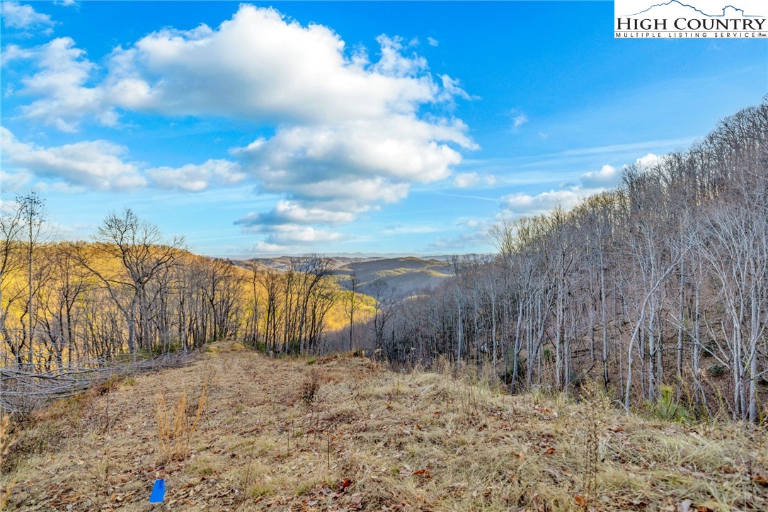 TBD Buckwheat Branch Road