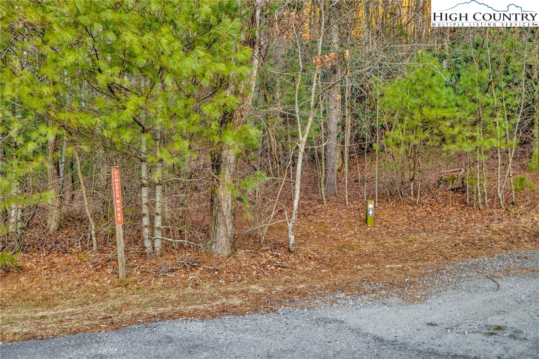 TBD Buckwheat Branch Road