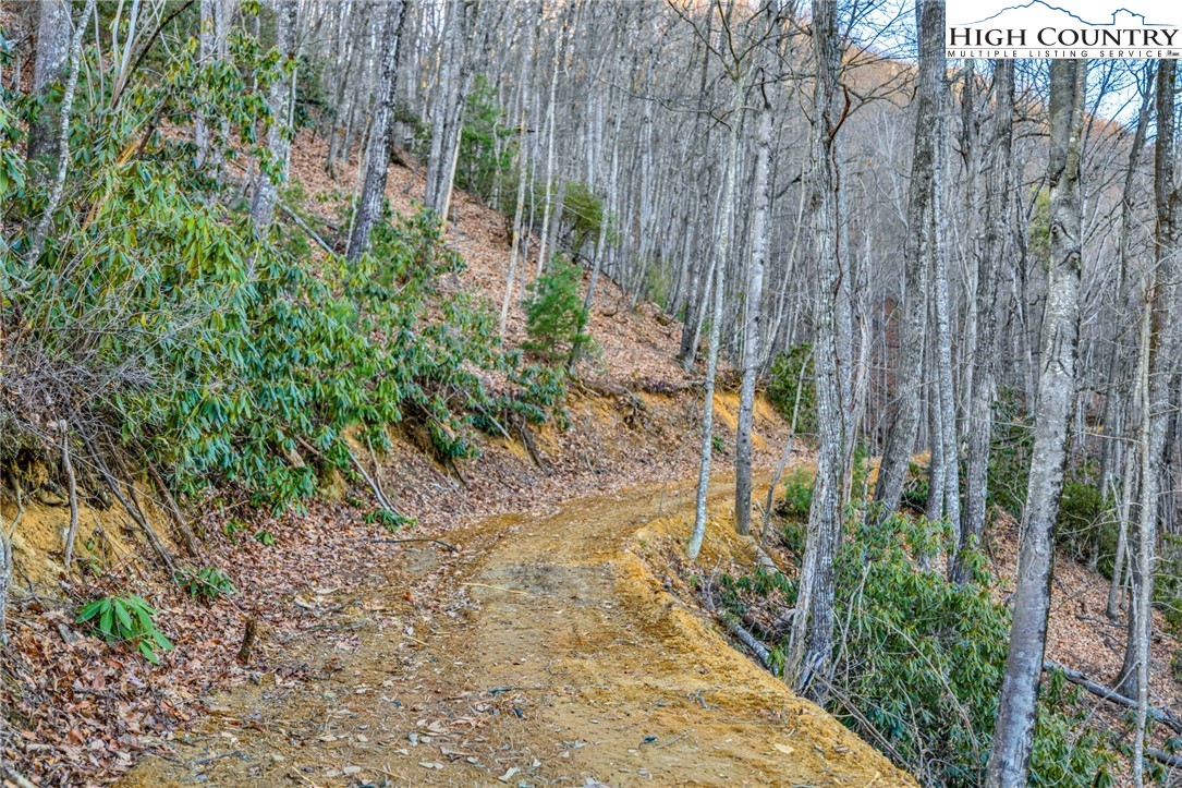 TBD Buckwheat Branch Road