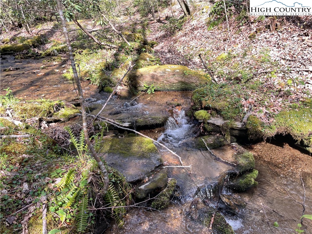 TBD Buckwheat Branch Road