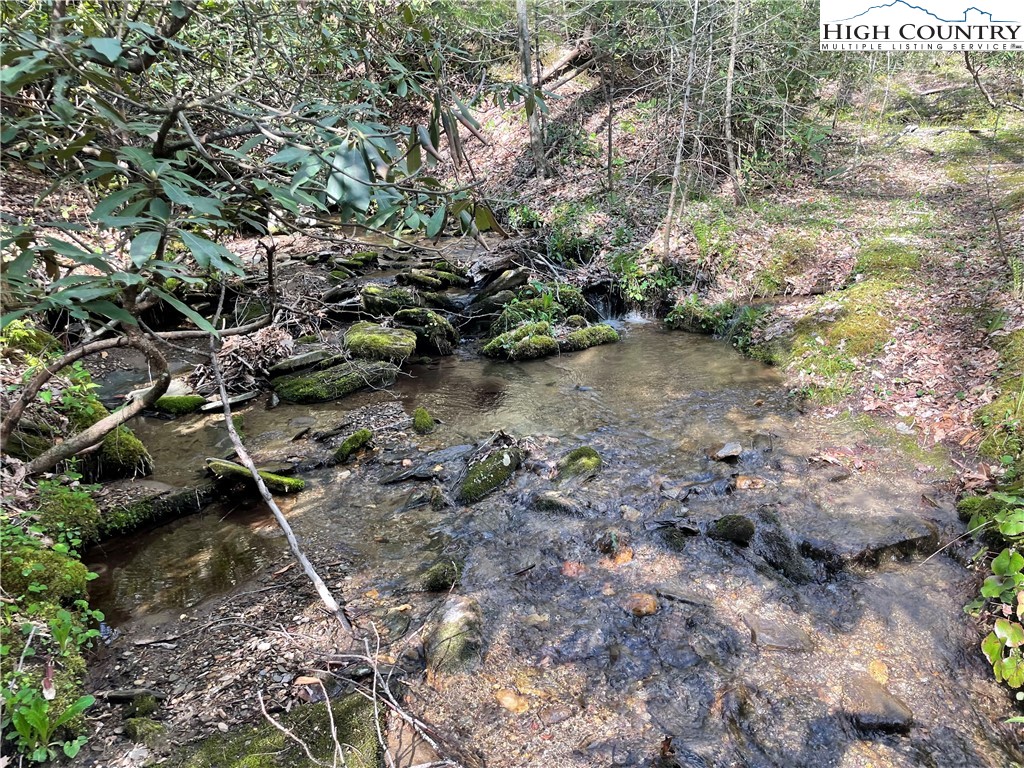 TBD Buckwheat Branch Road