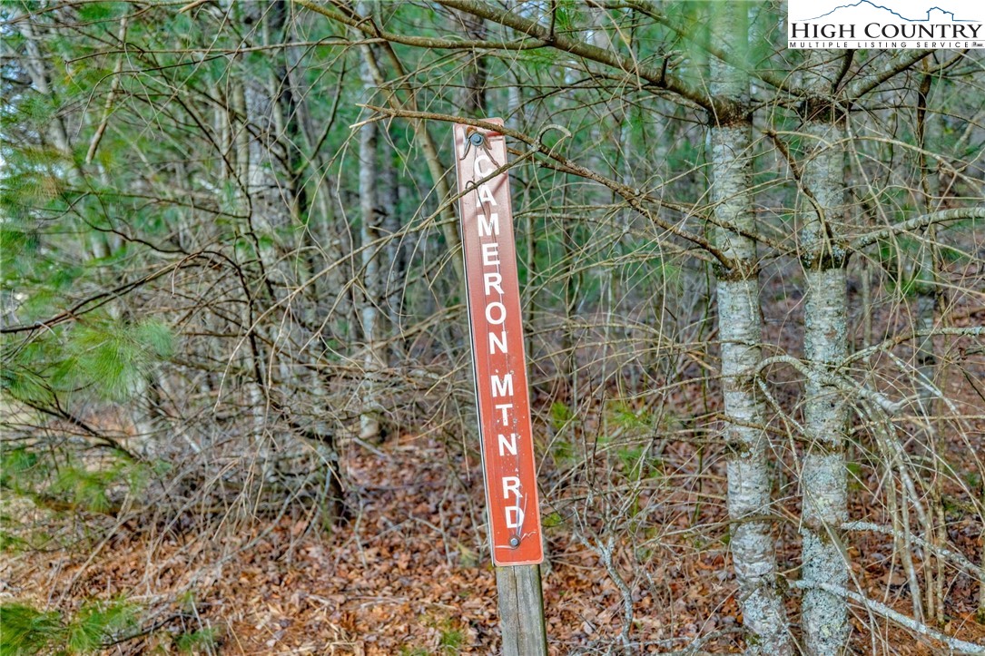 TBD Buckwheat Branch Road